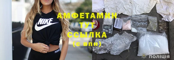 трава Корсаков