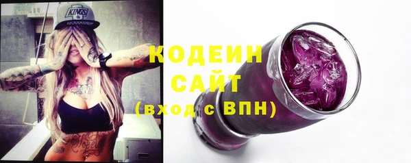 трава Корсаков