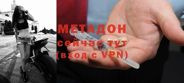 трава Корсаков
