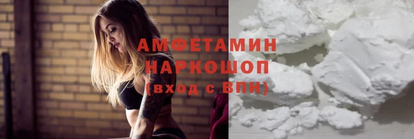 трава Корсаков