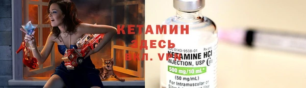 стафф Коряжма