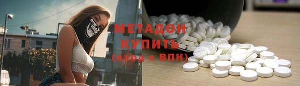 трава Корсаков