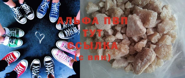 трава Корсаков