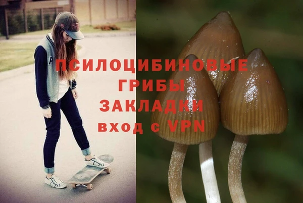 стафф Коряжма