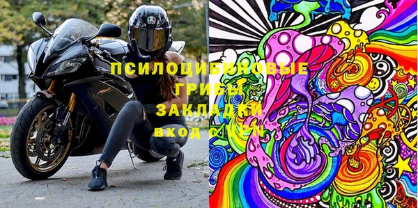 трава Корсаков