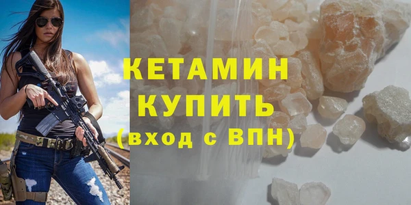 трава Корсаков