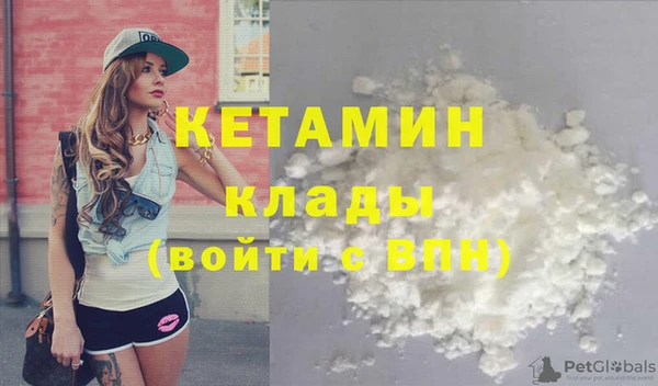трава Корсаков